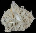 Himalayan Quartz Crystal Cluster #63045-1